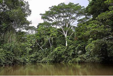 《开炮吧方舟》6月25日上线Steam，售价54元